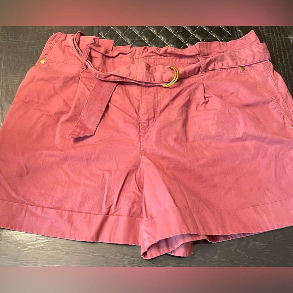 Loft Mauve Shorts